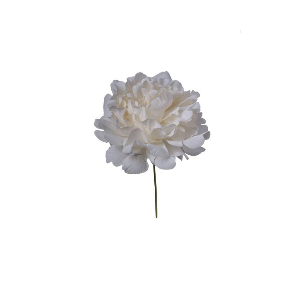 PICK PEONIA CREMA 13X13X16